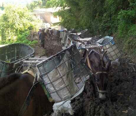 宝安区马帮搬运