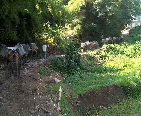 宝安区马帮运输队