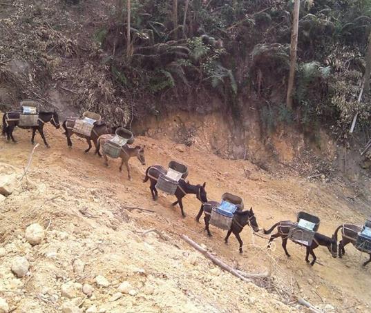 宝安区山路马帮运输