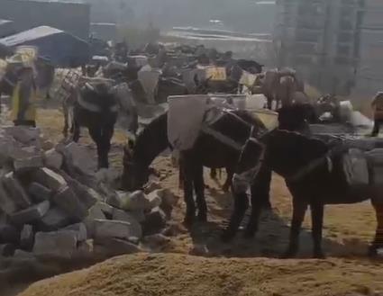 宝安区马队山路运输