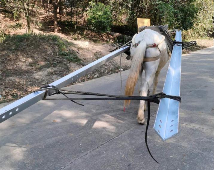 宝安区马队搬运