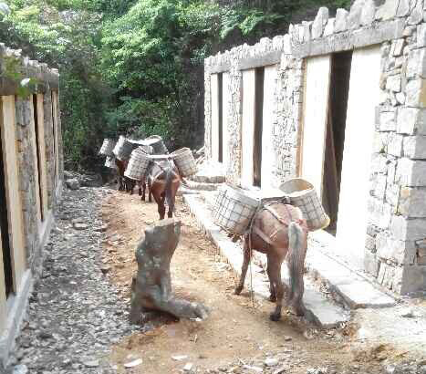 宝安区马队运输队