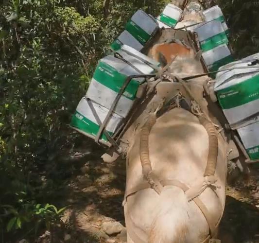 宝安区骡马山路运输