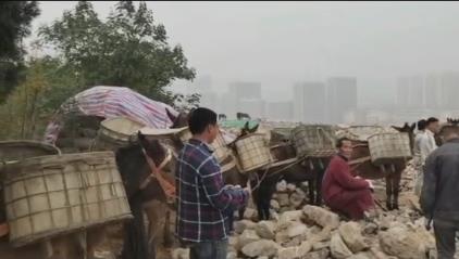 宝安区骡马山区运输