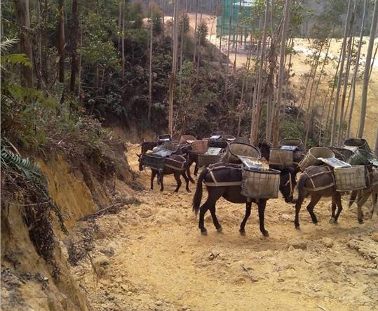 宝安区马帮山路运输
