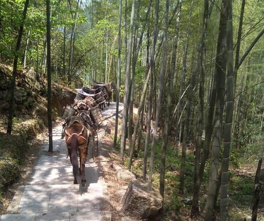 宝安区山路马队运输