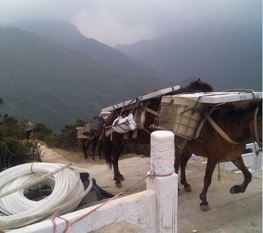 宝安区山区马帮运输