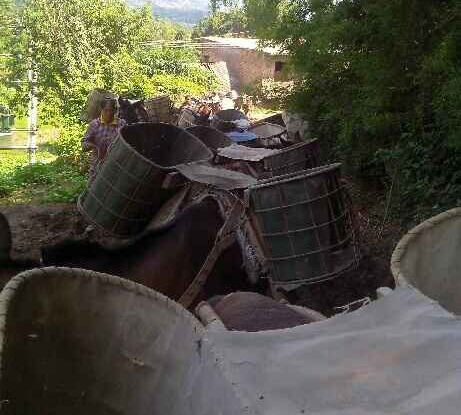 宝安区骡马运输